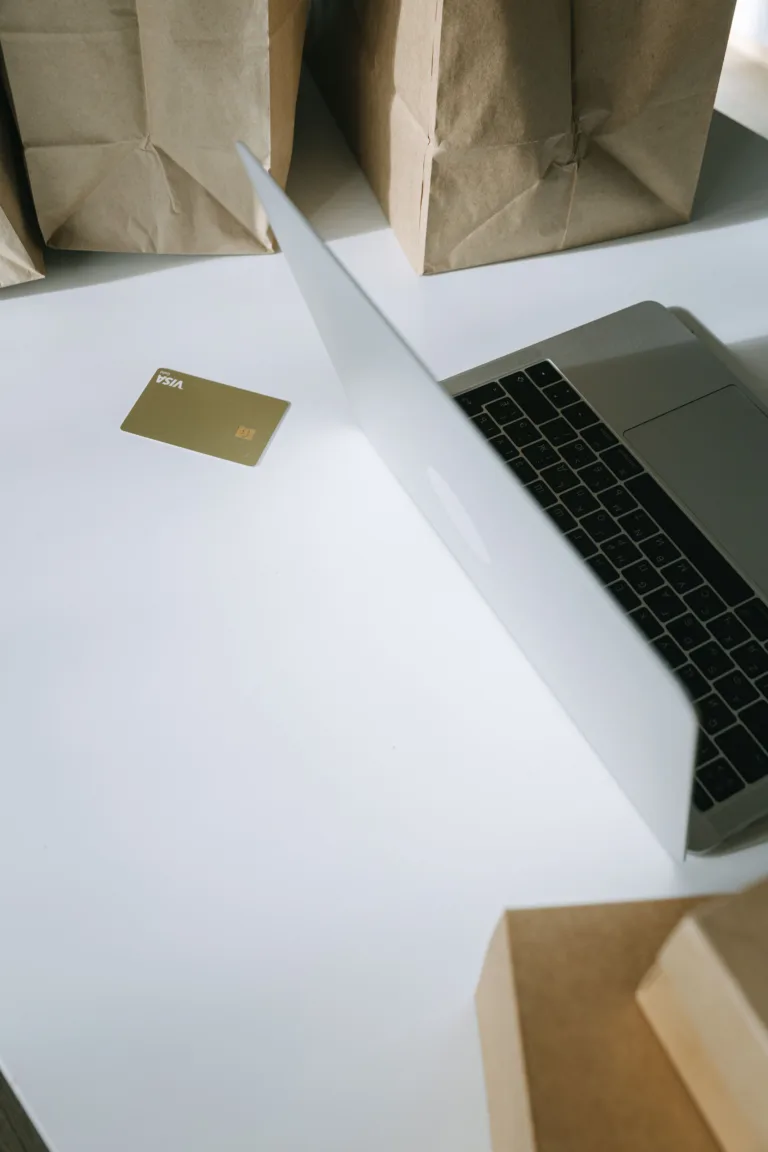 E-commerce seller reviewing Amazon and Shopify sales data with accountant