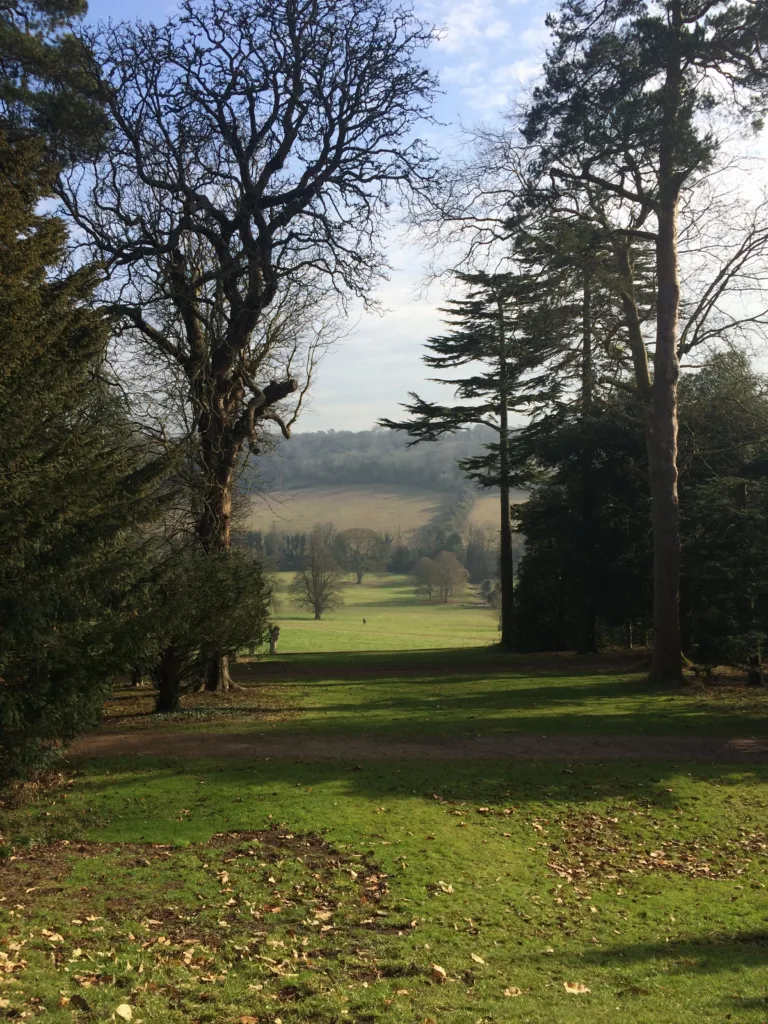 Accountant discussing family tax planning with a client in South Buckinghamshire