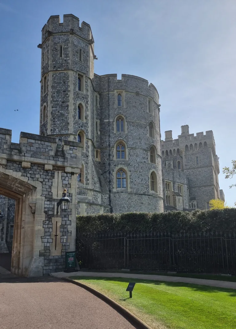 Accountant discussing personal tax planning with a client in Windsor