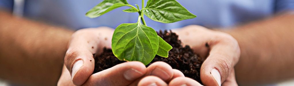 Growing a new company...